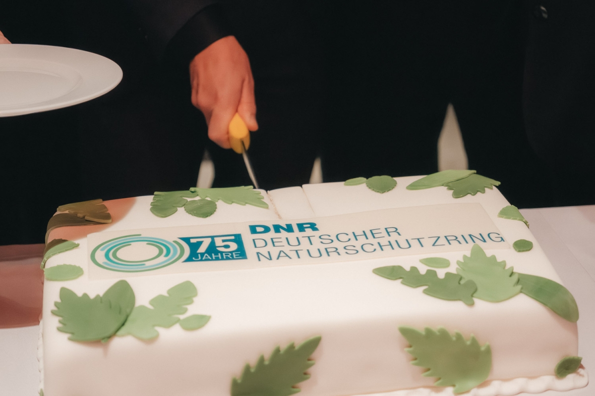 Die "Jubiläumstorte" des DNR zum 75. Geburtstag mit Logo, Aufschrift 75 Jahre Deutscher Naturschutzring und grünen Blättern auf weißem Grund